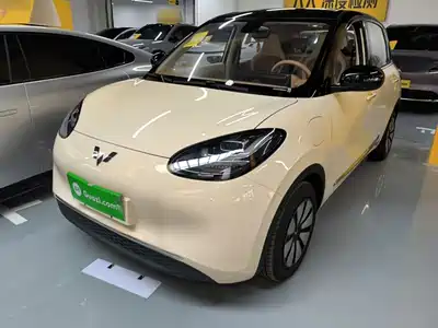 Wuling Bingo