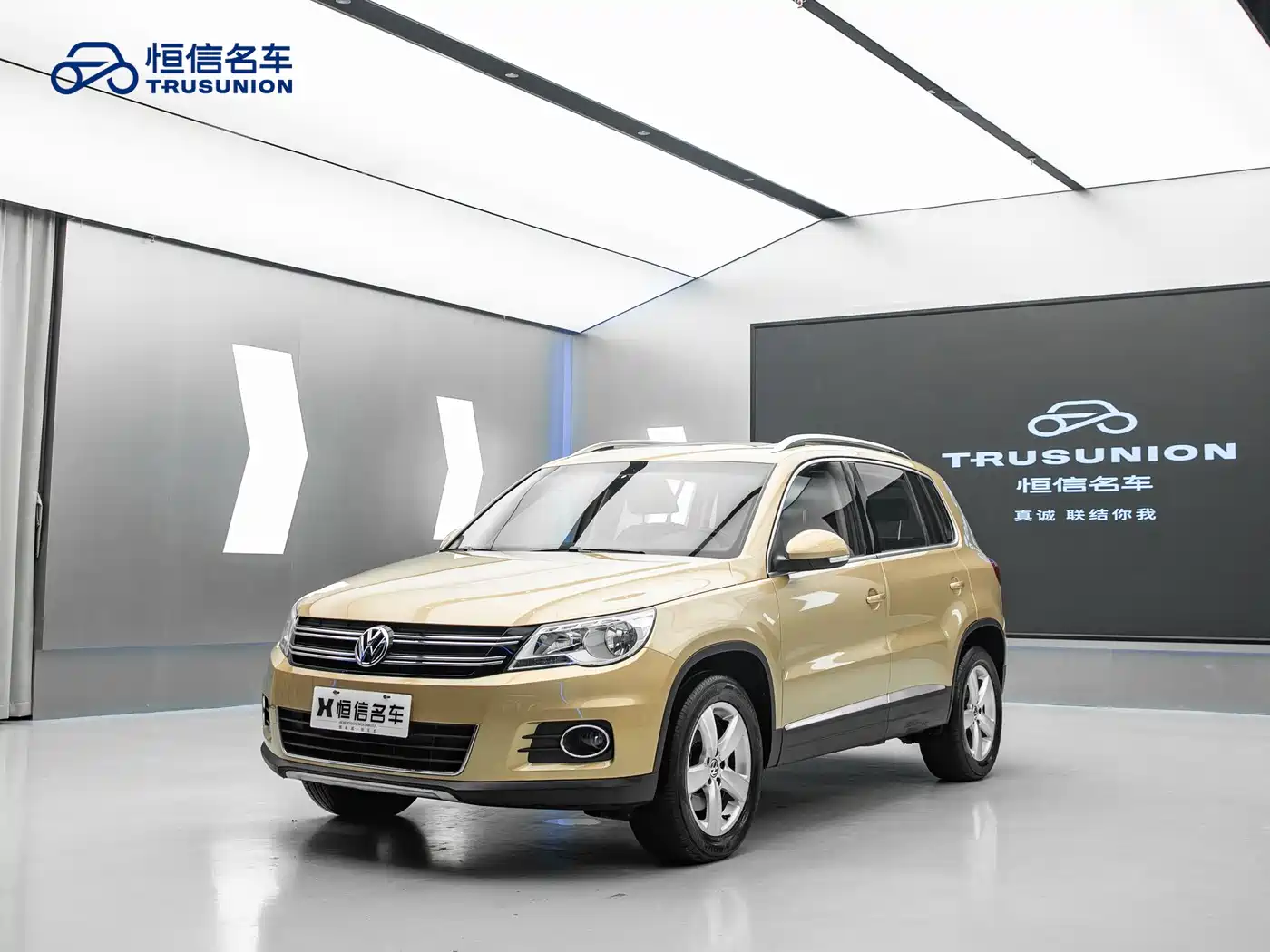 Volkswagen Tiguan 2012 2.0TSI Automatic 4WD Elite Edition фото 3