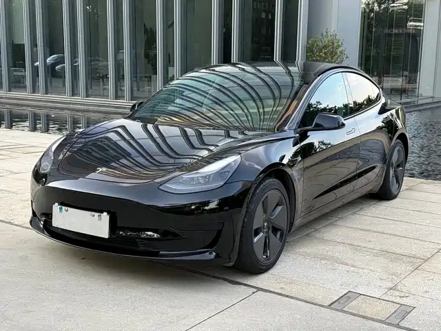 Tesla Model 3 2021 Standard Range Rear-Wheel Drive Upgrade 3D6