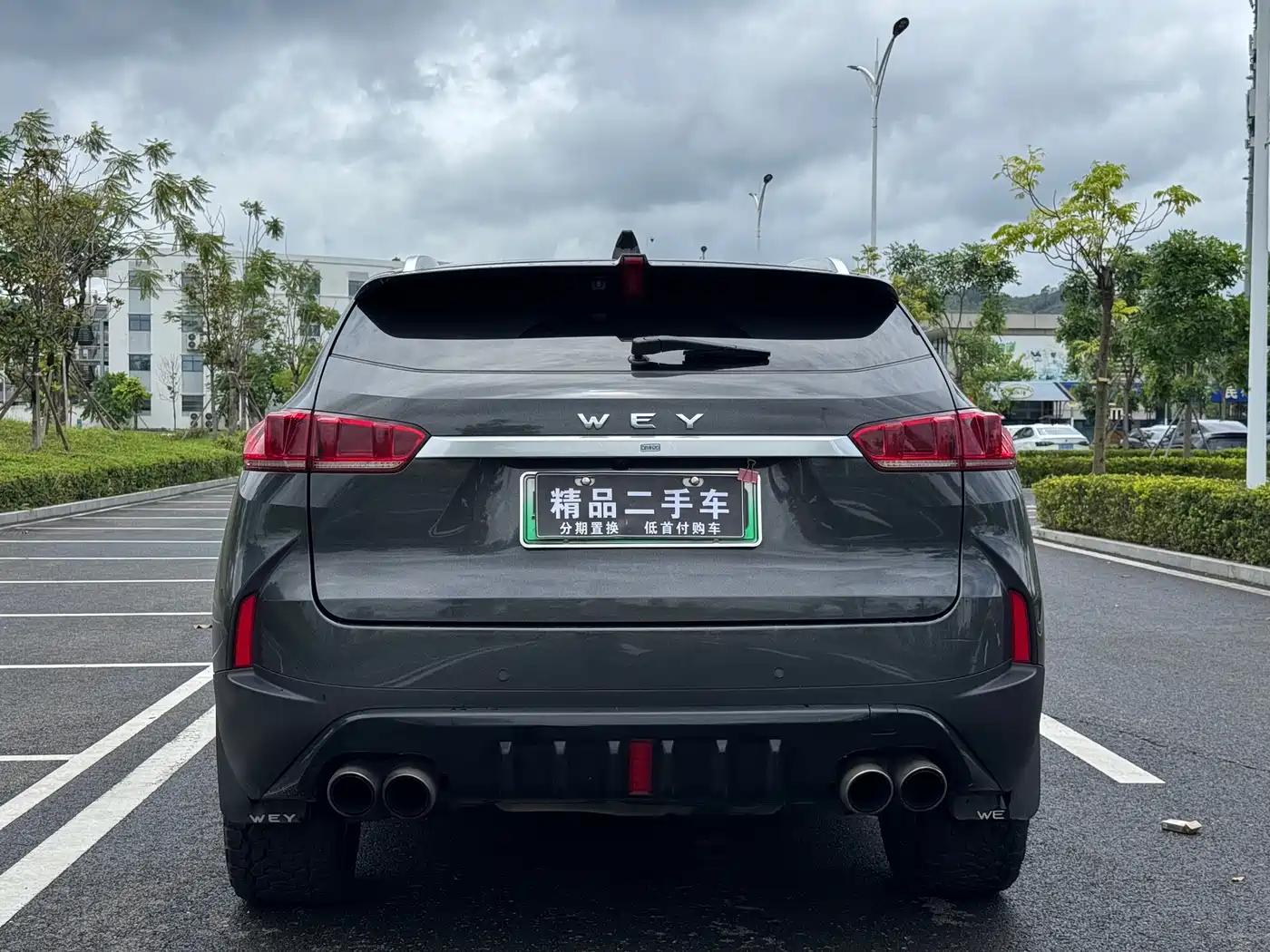 WEY P8 2018 2018 2.0T Flagship Model