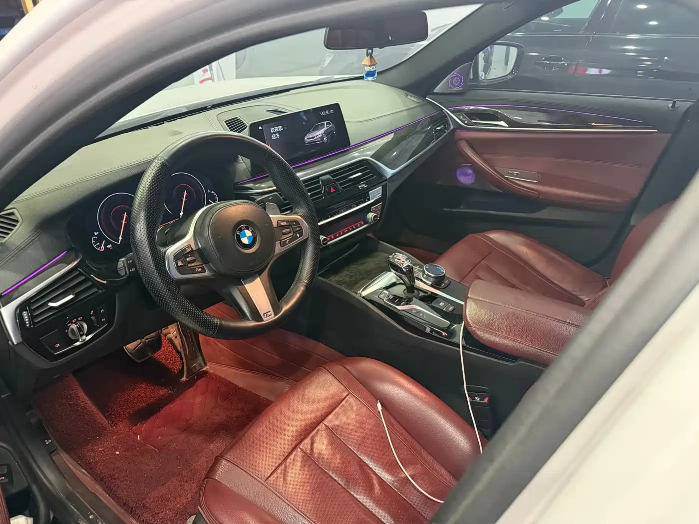 BMW 5 Series 2019 530Li Premium M Sport Package фото 6