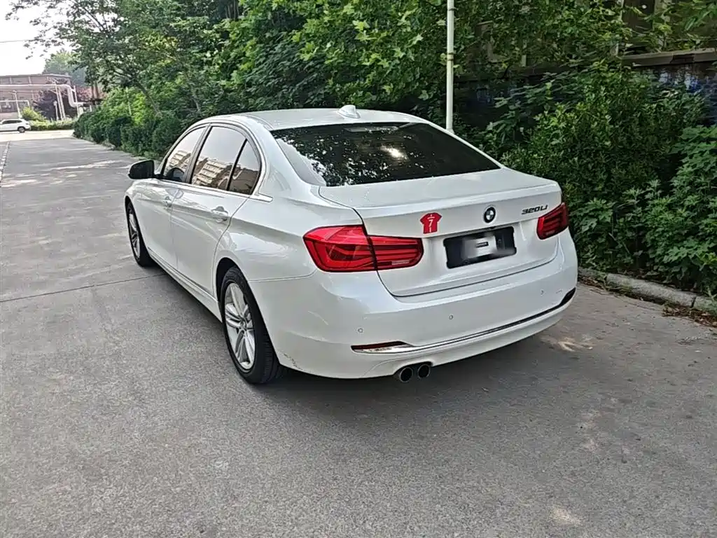 BMW 3 Series 2017 320Li Fashion фото 5