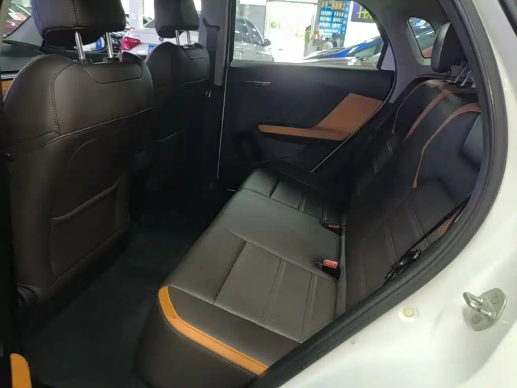 BYD e2 2021 2021 Luxury Edition
