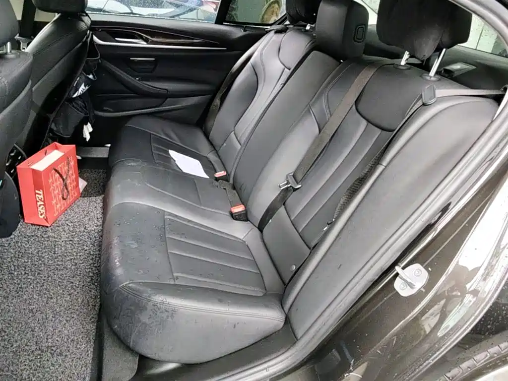 BMW 5 Series 2018 525Li M Sport Package фото 24