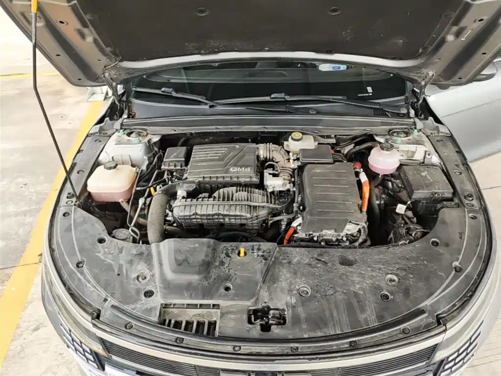 BYD Destroyer 05 2023 Champion Edition DM-i 55KM Luxury фото 20