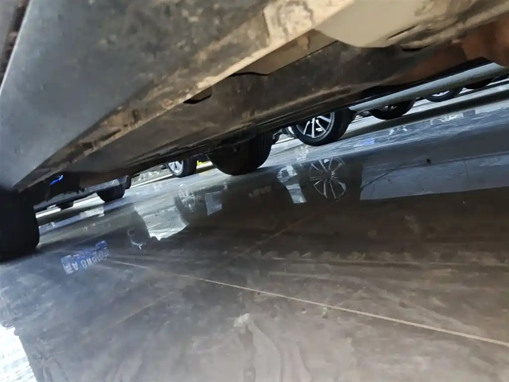 Haval Big Dog 2021 1.5T DCT 2WD Labrador Edition фото 21