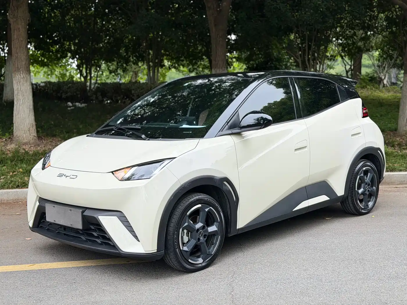 BYD Seagull 2023 Flying Edition