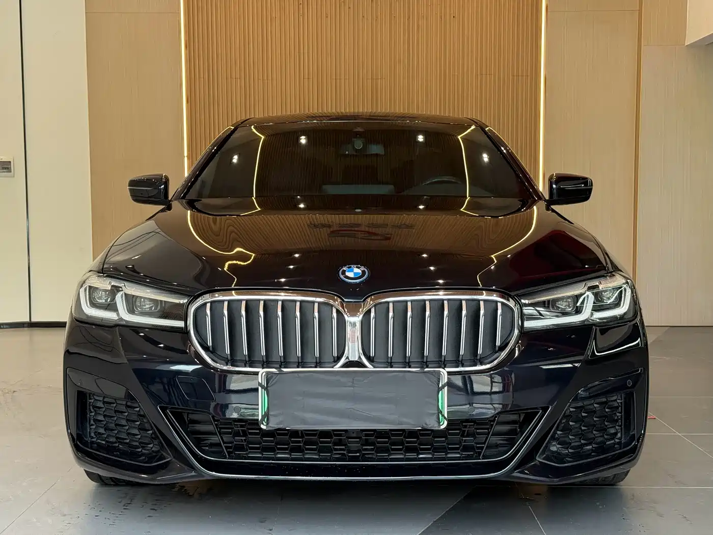 BMW 5 Series New Energy 2023 2022 Model Second Facelift 535Le M Sport Package