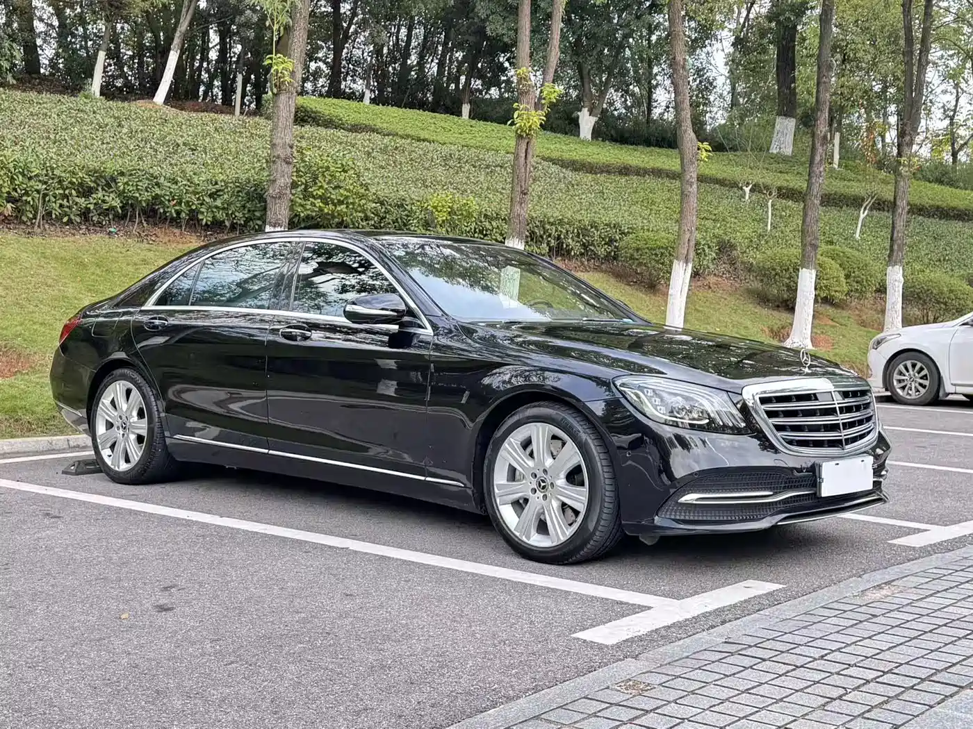Mercedes-Benz S-Class 2019 S 450 L