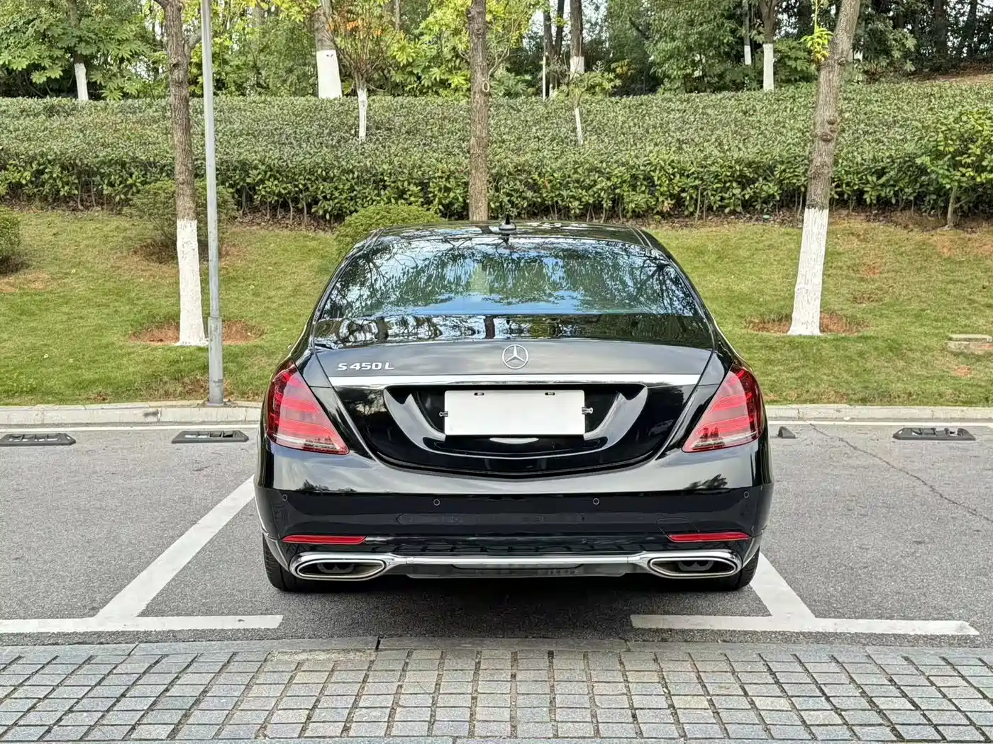 Mercedes-Benz S-Class 2019 S 450 L фото 9