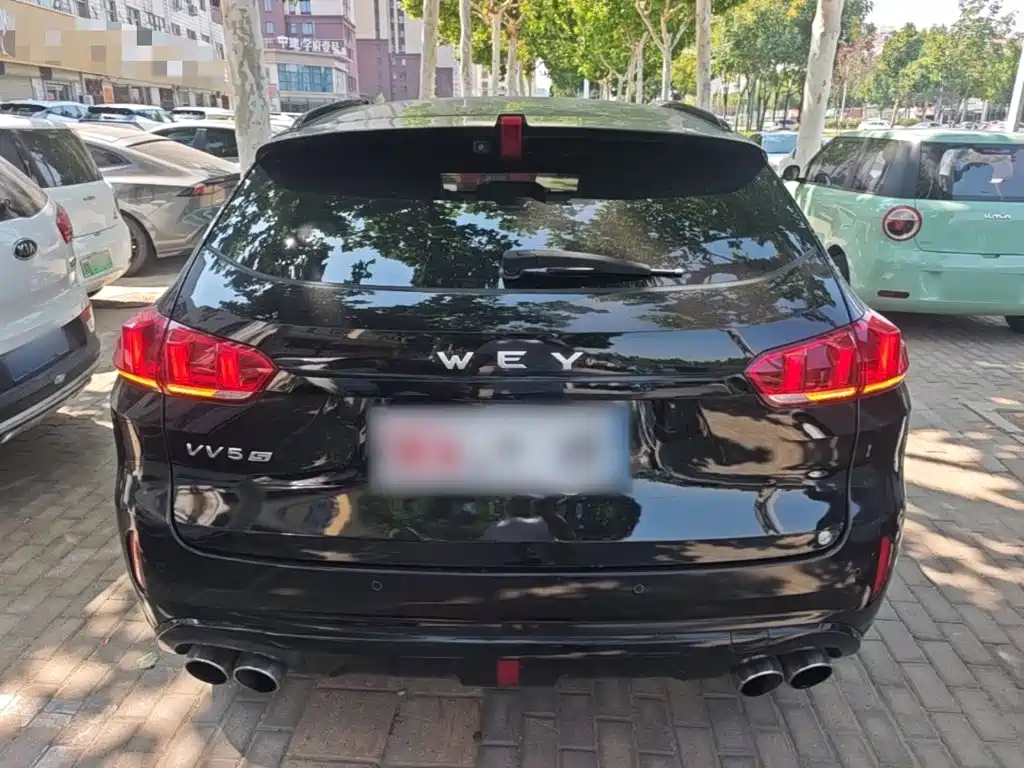 WEY VV5 2017 2017 2.0T Super Luxury Model