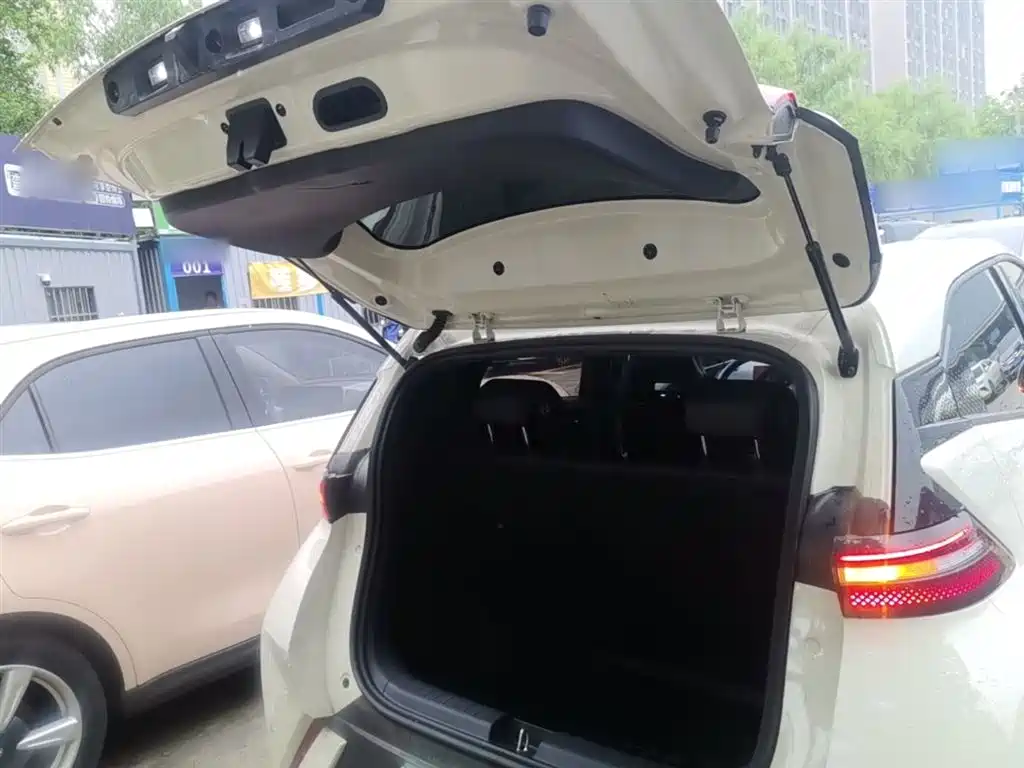 BYD Seagull 2025 305km Vitality фото 15