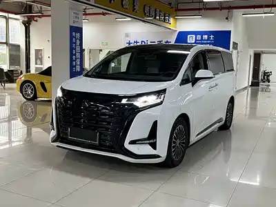 Denza D9