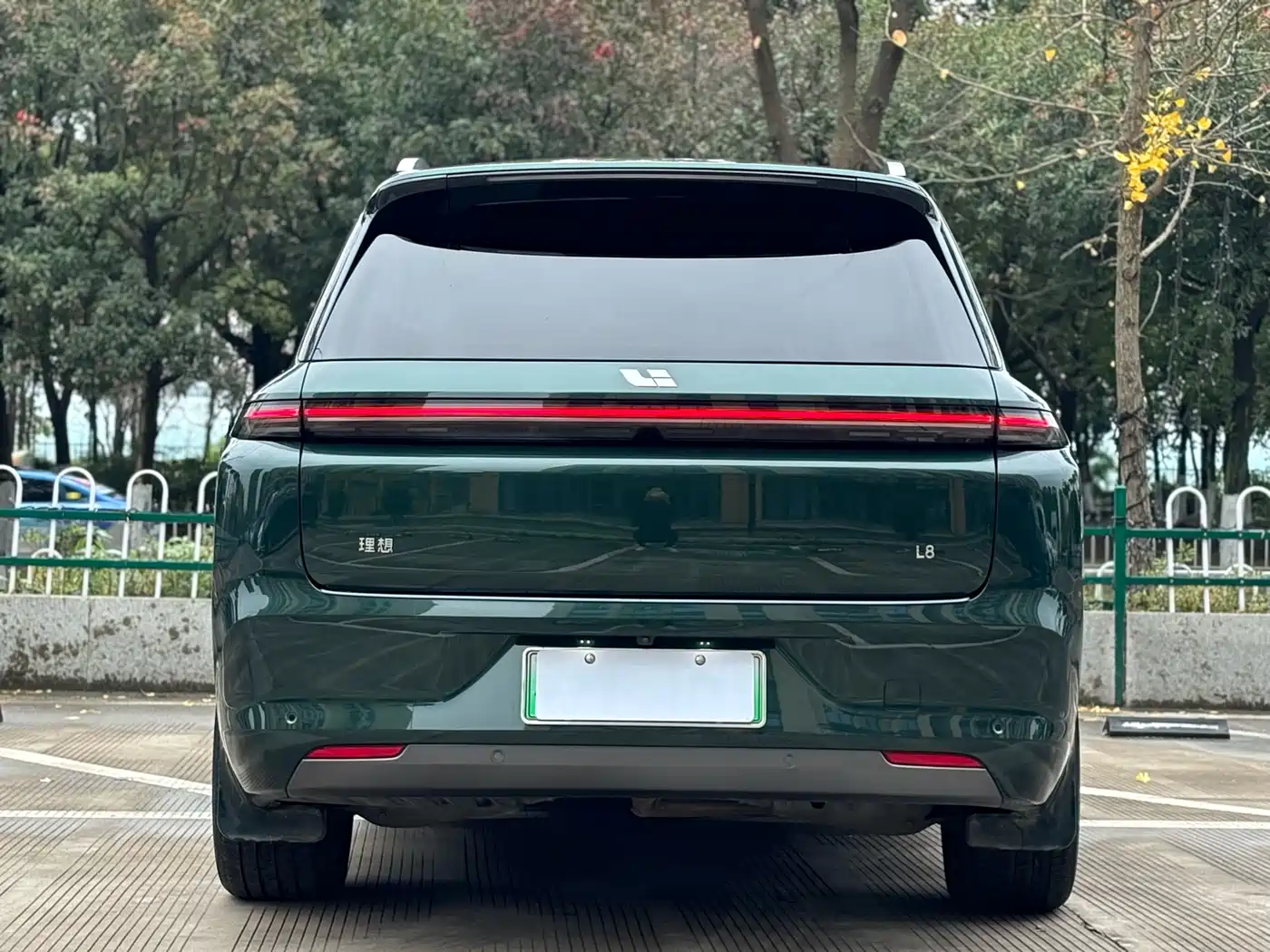 Li Auto Li L8 2023 Pro фото 9