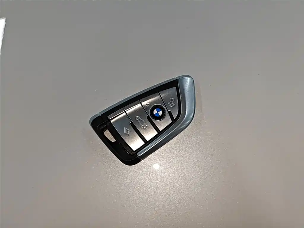 BMW 5 SERIES NEW ENERGY