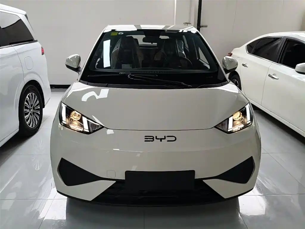 BYD Seagull 2025 Smart Drive Edition 305km Vitality Version фото 3