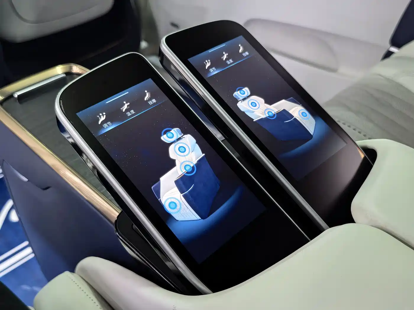 Buick GL8 2021 Avenir Aivia 4-Seater Prestige Edition фото 12