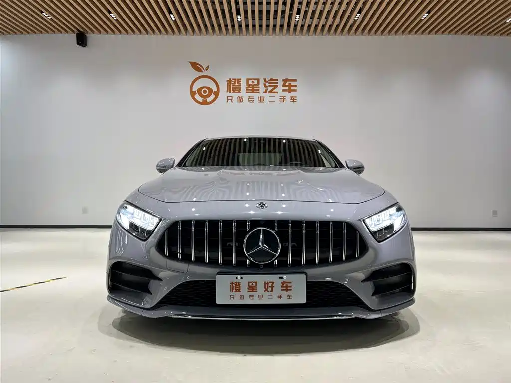 Mercedes-Benz CLS 2020 CLS 300 Luxury фото 2