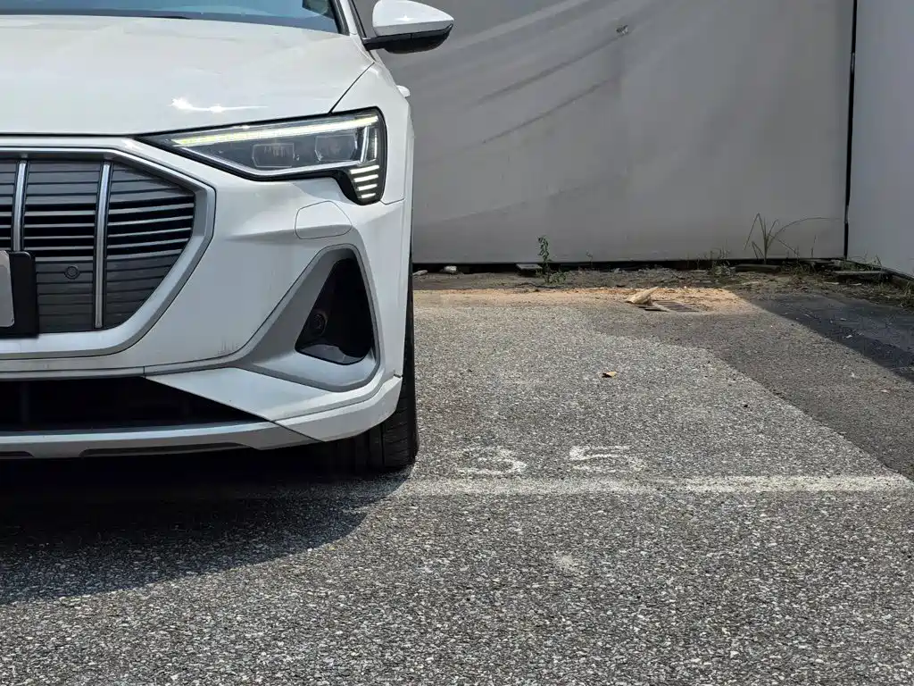 Audi e-tron 2023 2021 50 quattro Luxury