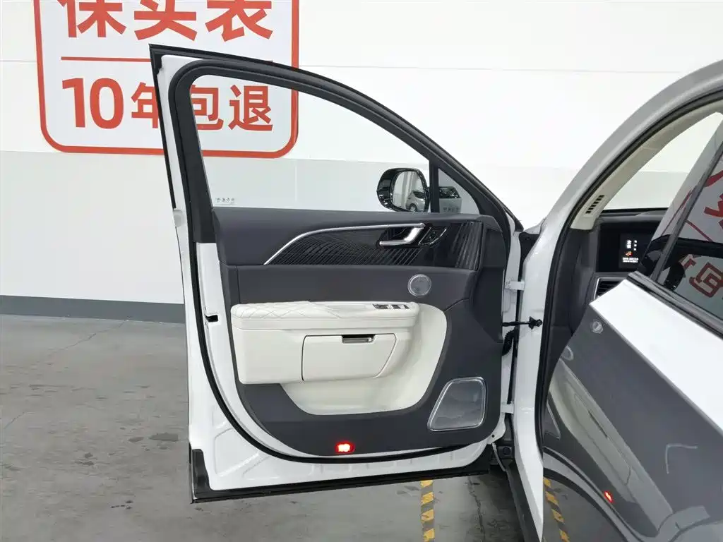 Hongqi E-HS9 2021 510km Flagship Edition 4-seater фото 8