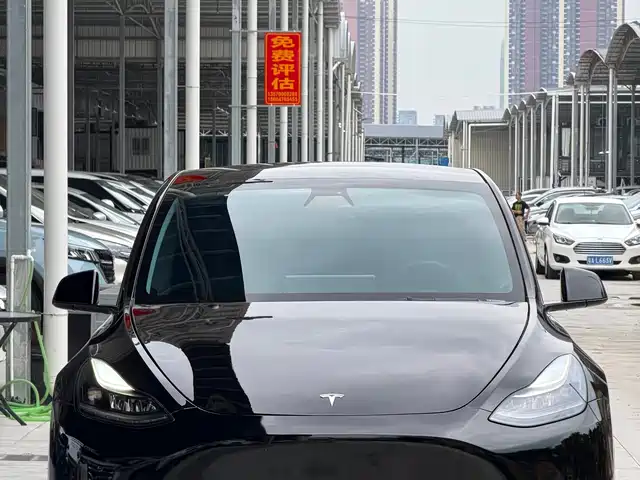 Tesla Model Y 2021 Standard Range Rear-Wheel Drive — фото 2