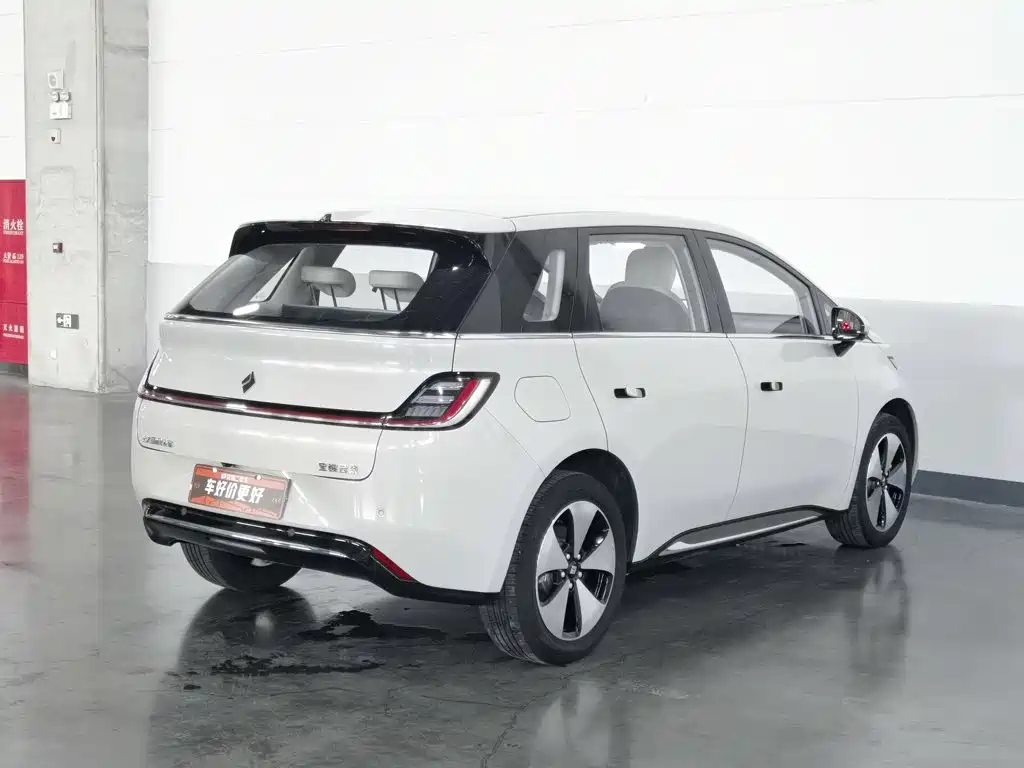 Baojun Cloud 2024 2023 460 Pro