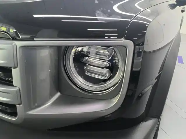 Haval Big Dog 2024 1.5T DCT Border Collie Edition — фото 5