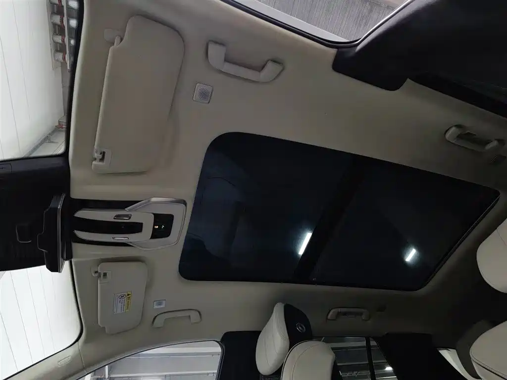 Hongqi E-HS9 2021 510km Flagship Edition 4-seater фото 14