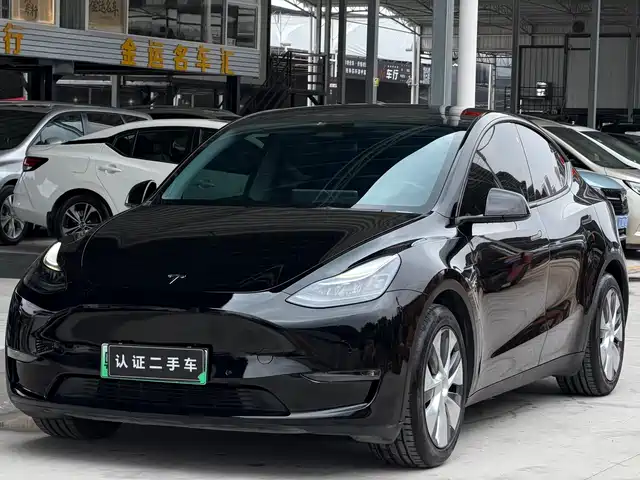 Tesla Model Y 2021 Standard Range Rear-Wheel Drive — фото 1