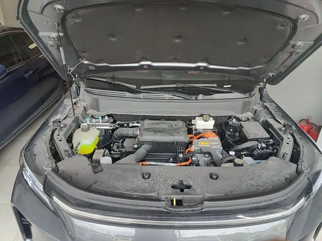 Landian E5 PLUS 2026 2026 165km Long Range First Edition Ultra 7-Seater