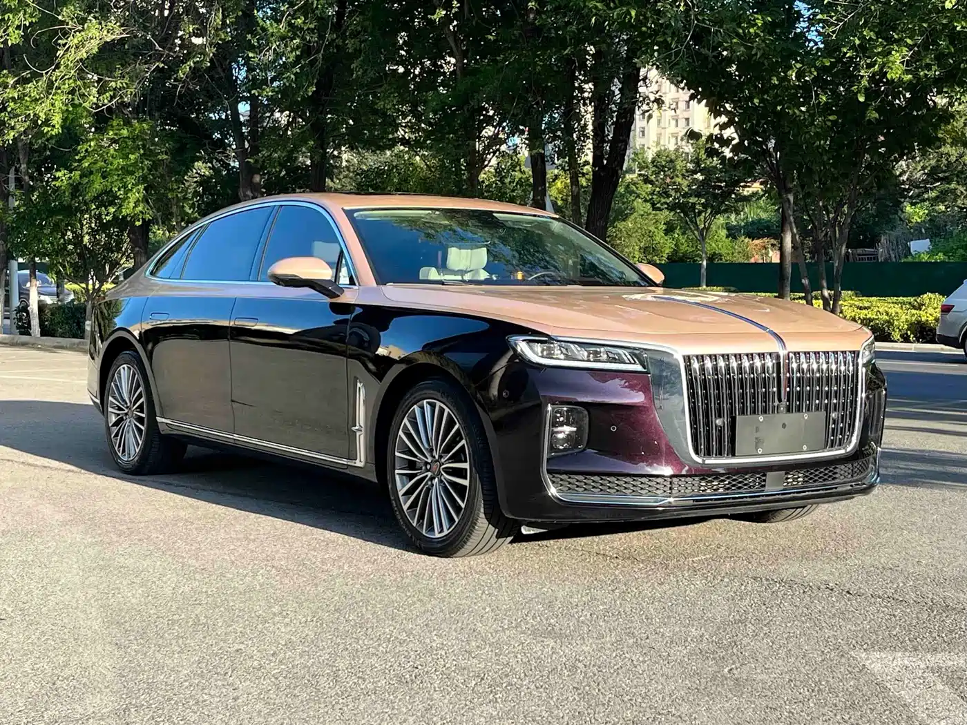 Hongqi H9, миниатюра 8
