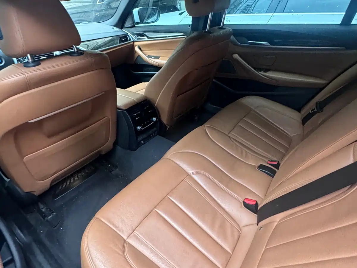 BMW 5 Series 2020 530Li Exclusive M Sport Package фото 14