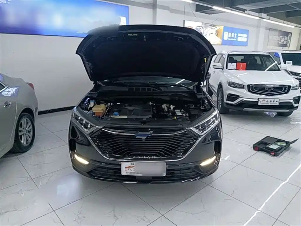 Changan Oshan X7 2021 2021 1.5T Automatic Luxury