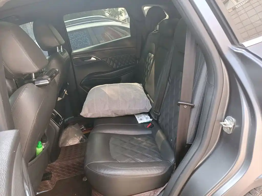 Borgward BX7 2019 2018 2.0T TS AWD Luxury (China V)