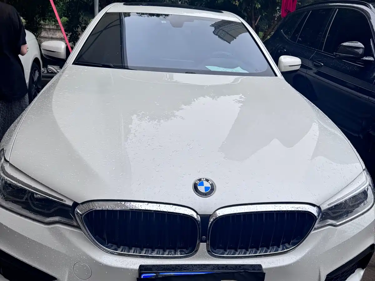 BMW 5 Series 2020 530Li Exclusive M Sport Package фото 3