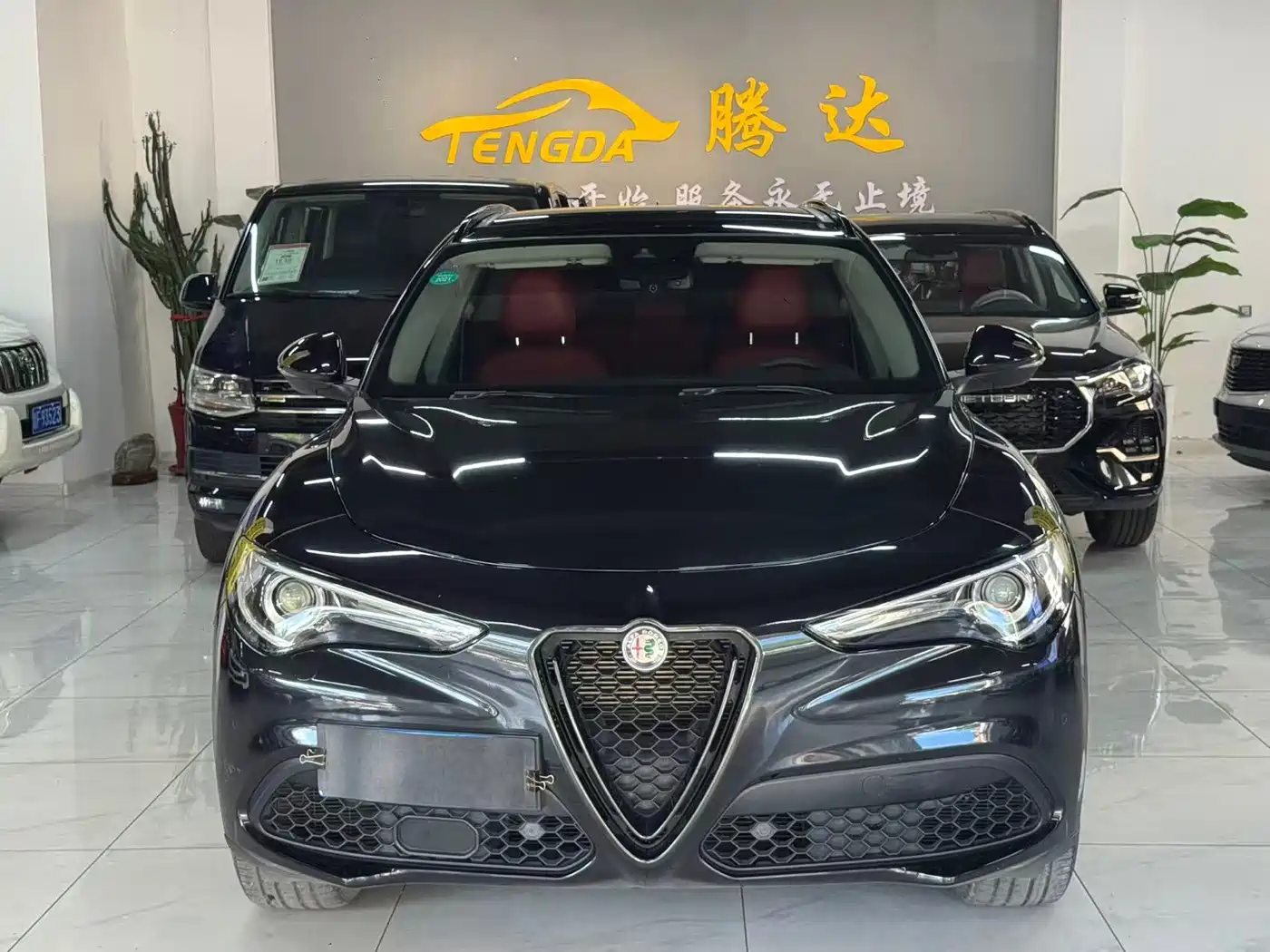 Alfa Romeo Stelvio 2020 2020 2.0T 280HP Luxury Sport Edition