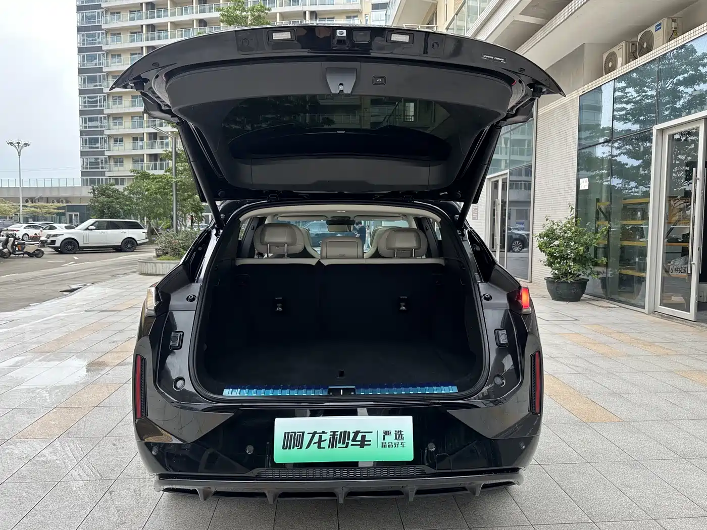 Lynk & Co 08 EM-P 2023 220km 4WD Performance Halo фото 21