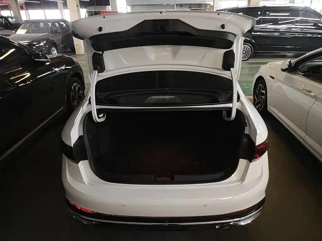 Volkswagen Sagitar 2025 300TSI DSG Surpass Edition фото 19
