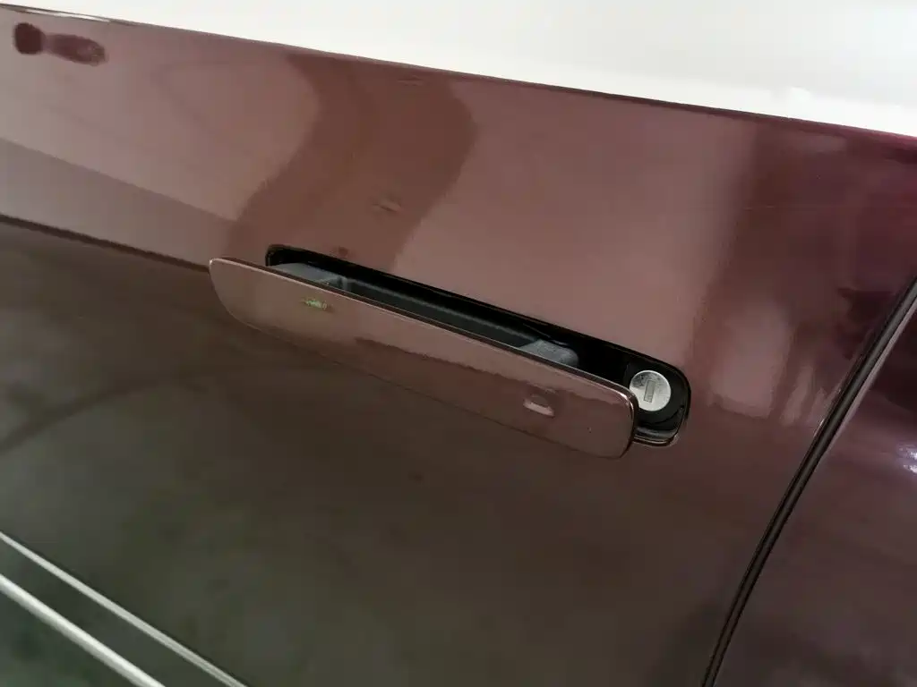Photo 18 - Hongqi H9