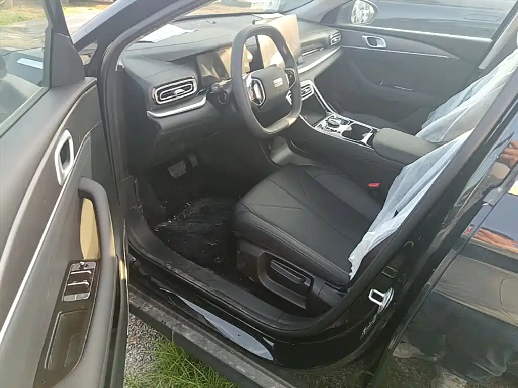 Geely Galaxy Galaxy Stellar 6 2025 60km Voyager Edition фото 15