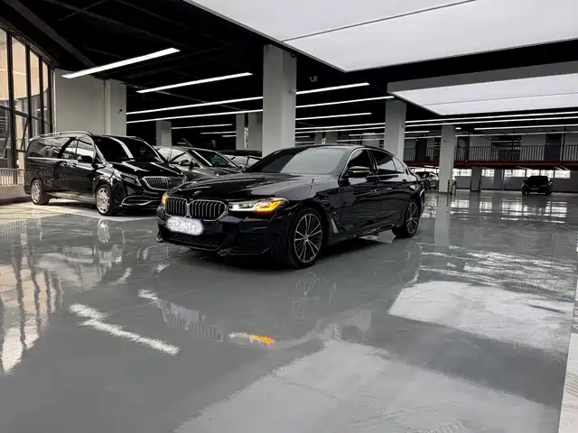 BMW 5 530Li, Лидер, M Спорт-пакет