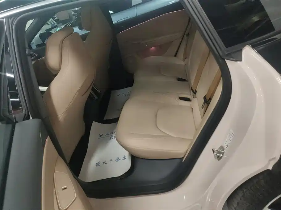 ARCFOX EXTREME FOX POLAR FOX ALPHA S5