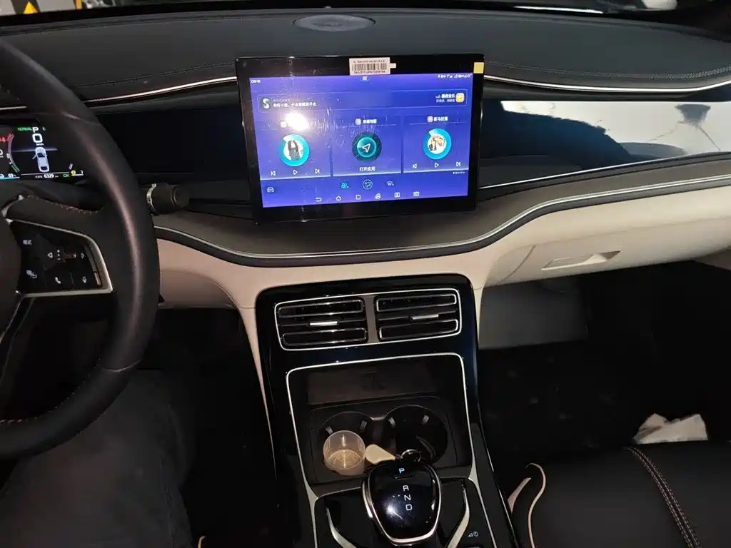 BYD Qin PLUS 2021 DM-i 55KM Flagship фото 6