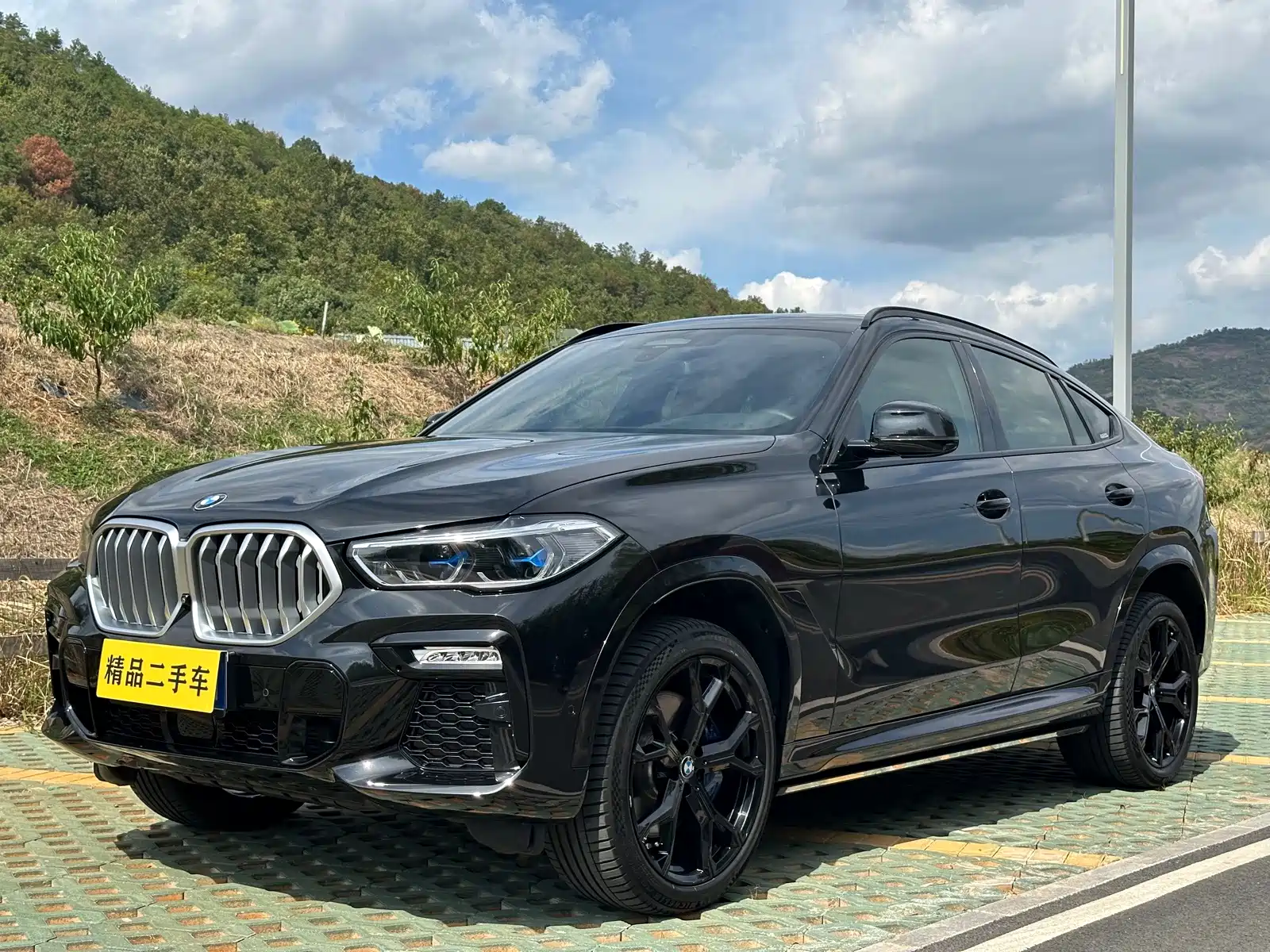Photo 1 - BMW X6