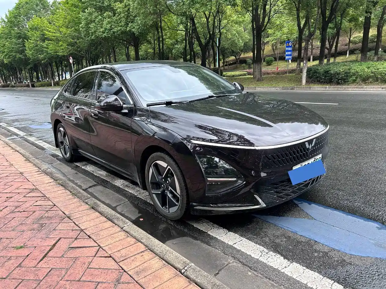 Wuling Motors Wuling Xingguang 2023 2023 150 Advanced Edition