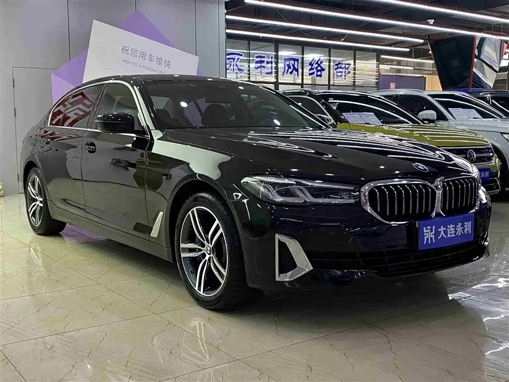 BMW 5 Series 2021 530Li Leading Luxury Package фото 3
