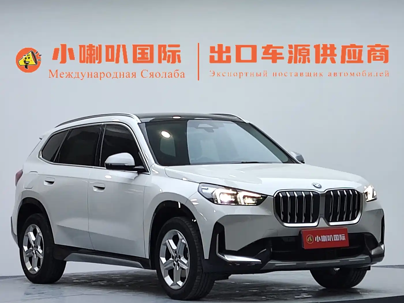 BMW X1 2024 2023 sDrive20Li X Design Package