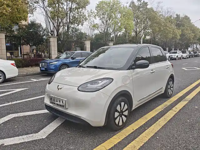 WULING WULING BINGGUO