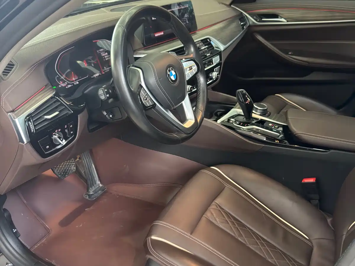 BMW 5 Series 2020 530Li Leading Luxury Package фото 7