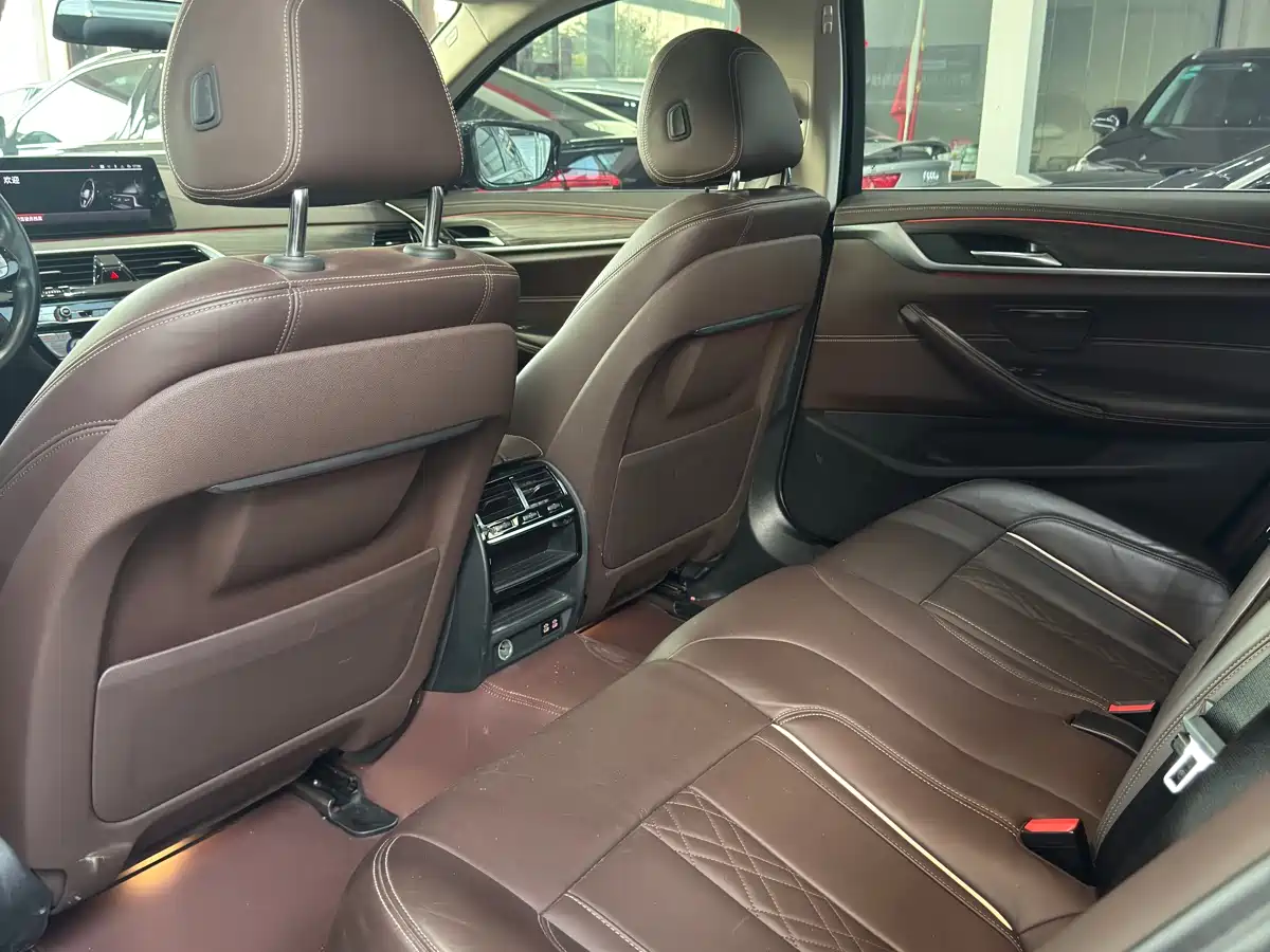 BMW 5 Series 2020 530Li Leading Luxury Package фото 9